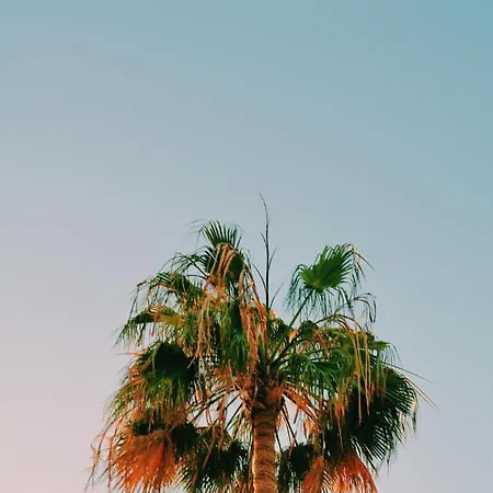 Apartment Bright In Chayofita *