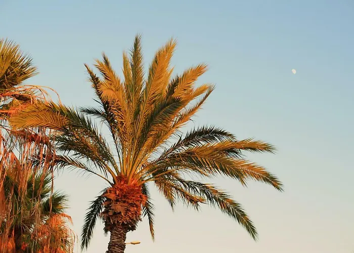 Bright In Chayofita Costa del Silencio