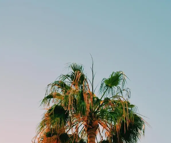 Apartman Bright In Chayofita *