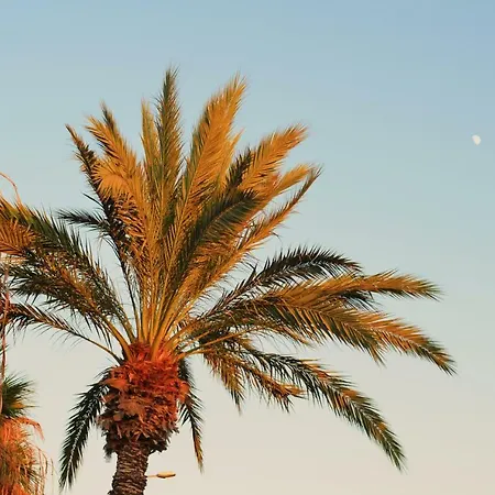 Bright In Chayofita Costa Del Silencio